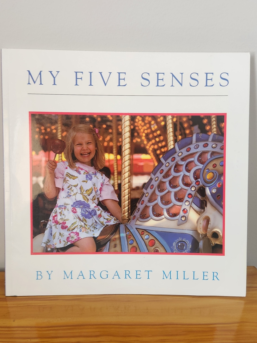 My Five Senses Children's Book.